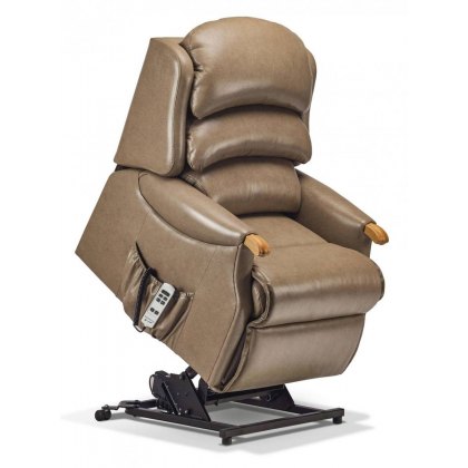 Witney Small Leather Dual Motor Riser Recliner