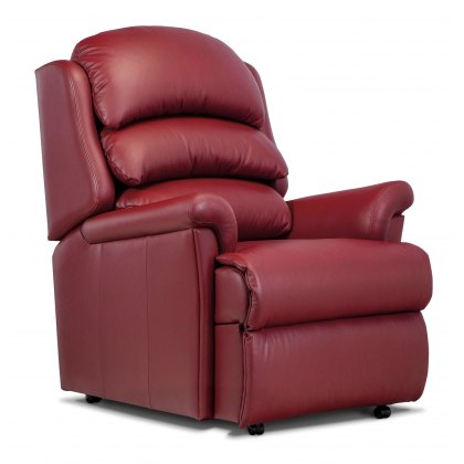 Hunter Leather Fixed Chair