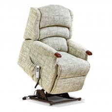 Witney Small Dual Motor Riser Recliner