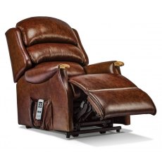 Witney Petite Leather Dual Motor Riser Recliner