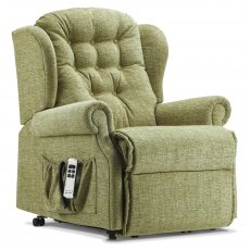 Petite Lemsford Dual Motor Riser Recliner