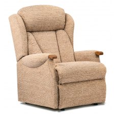 Ava Fixed Arm Chair