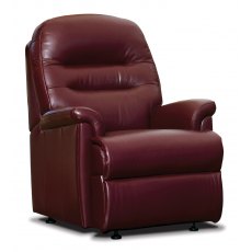 Amy Fixed Leather Arm Chair