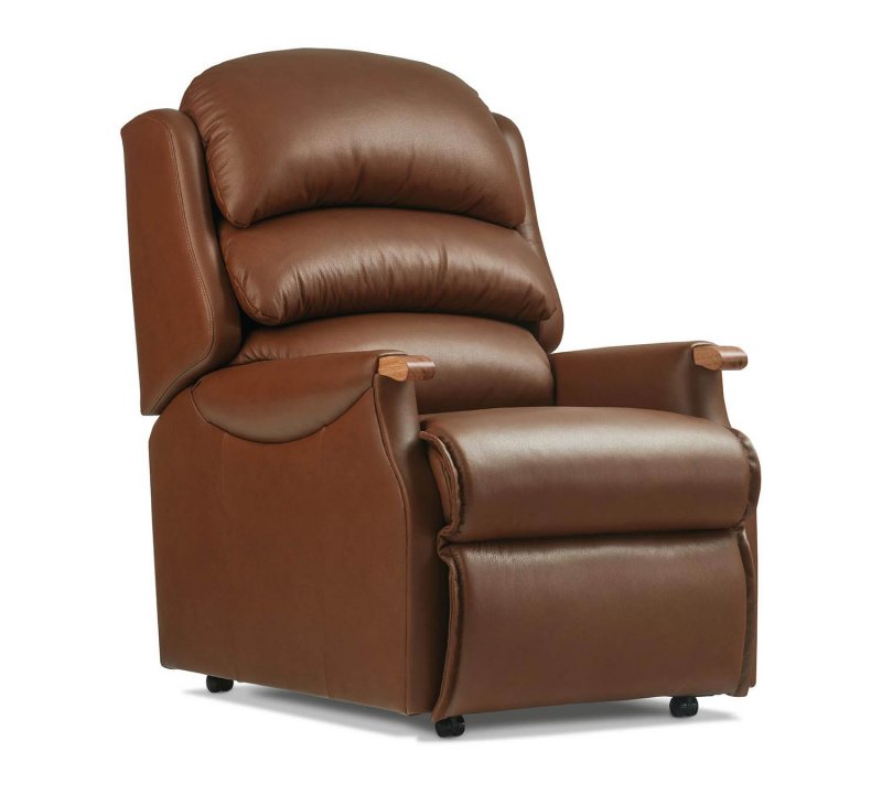 Witney Standard Leather Fixed Arm Chair