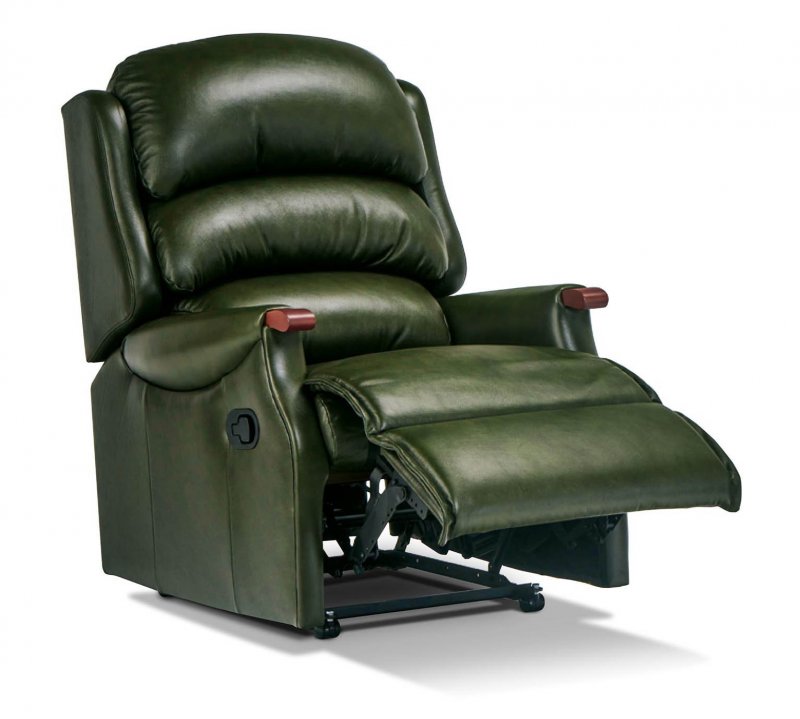 Witney Standard Leather Powered Recliner Chair