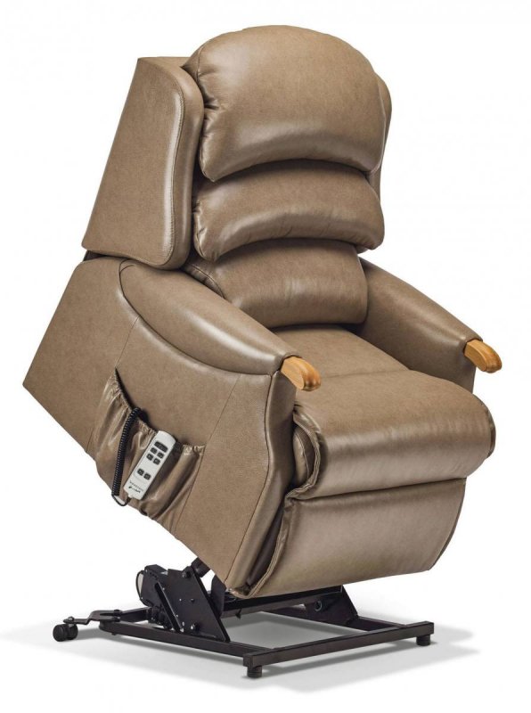 Witney Small Leather Dual Motor Riser Recliner
