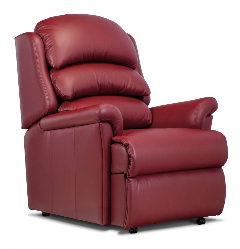 Hunter Leather Fixed Chair