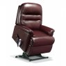 Amy Leather Riser Recliner