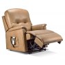 Extra Small Thirlmere Riser Recliner