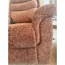 Royale Langford riser recliner with head and lumbar adjustment